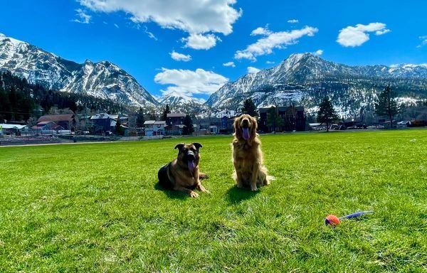 Mountain view from private deck — Amphitheater condo Ouray Colorado